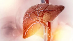 Picture of مقاله مرتبط